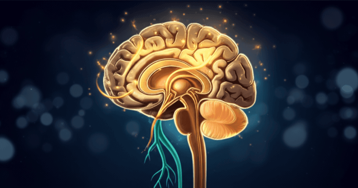 Vagus Nerve Stimulation for Parkinson's Disease: Emerging Evidence